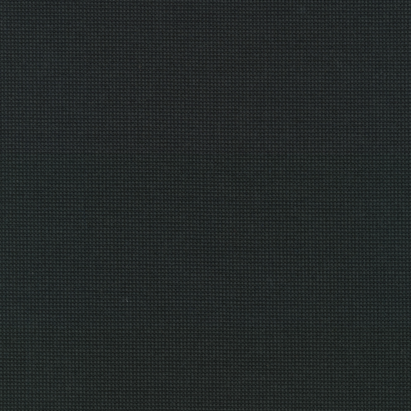 Sabi - 0181