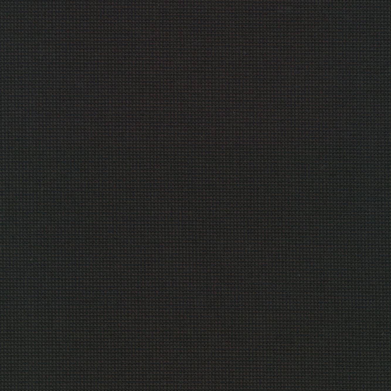 Sabi - 0191