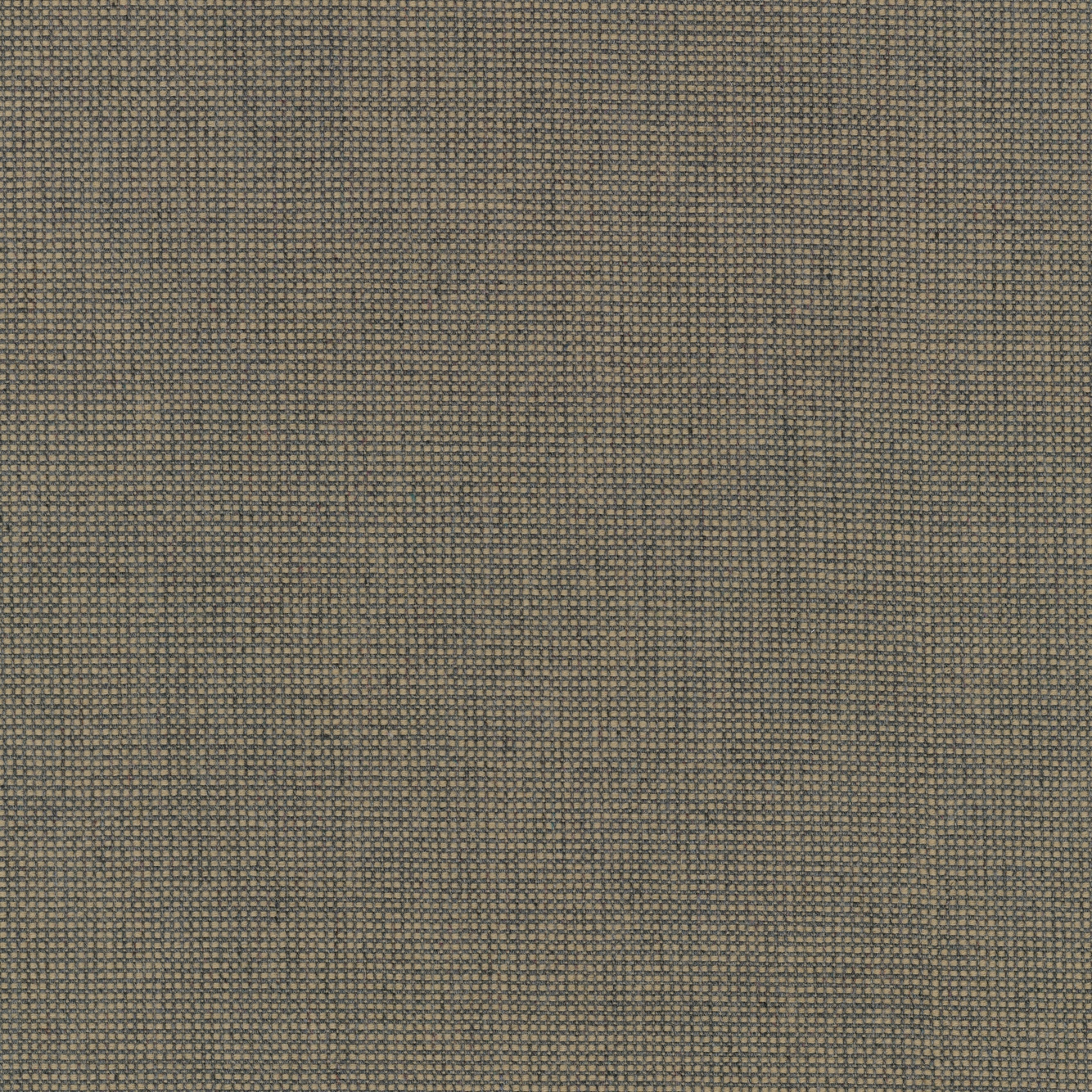 Sabi - 0221