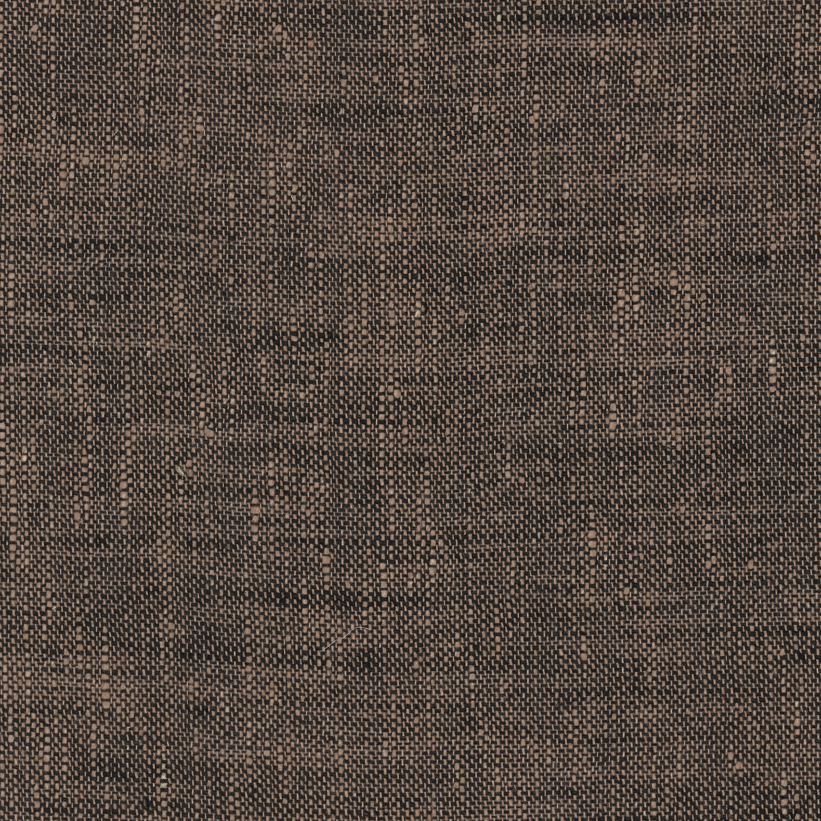 Marsh - 0016