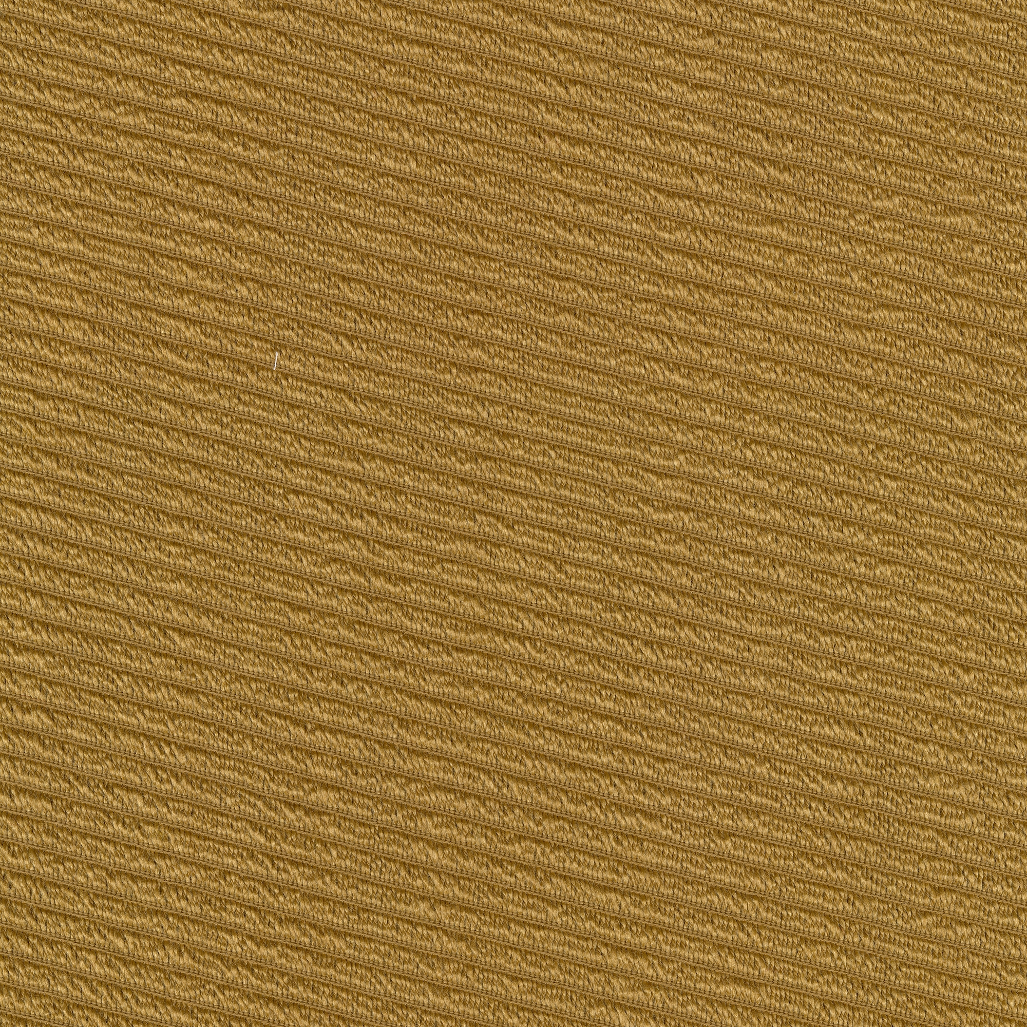 Aaren - 0263