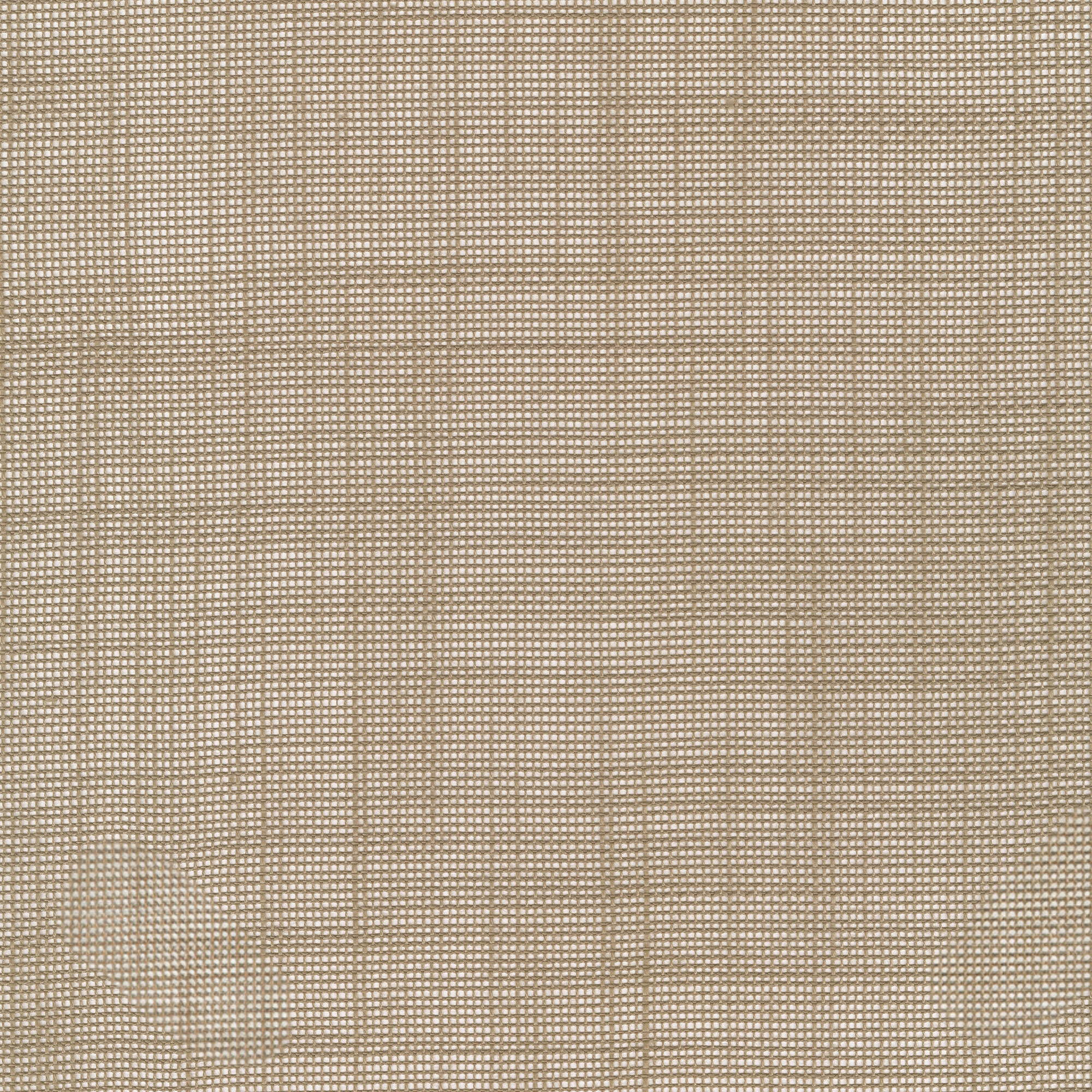 Inch - 0320