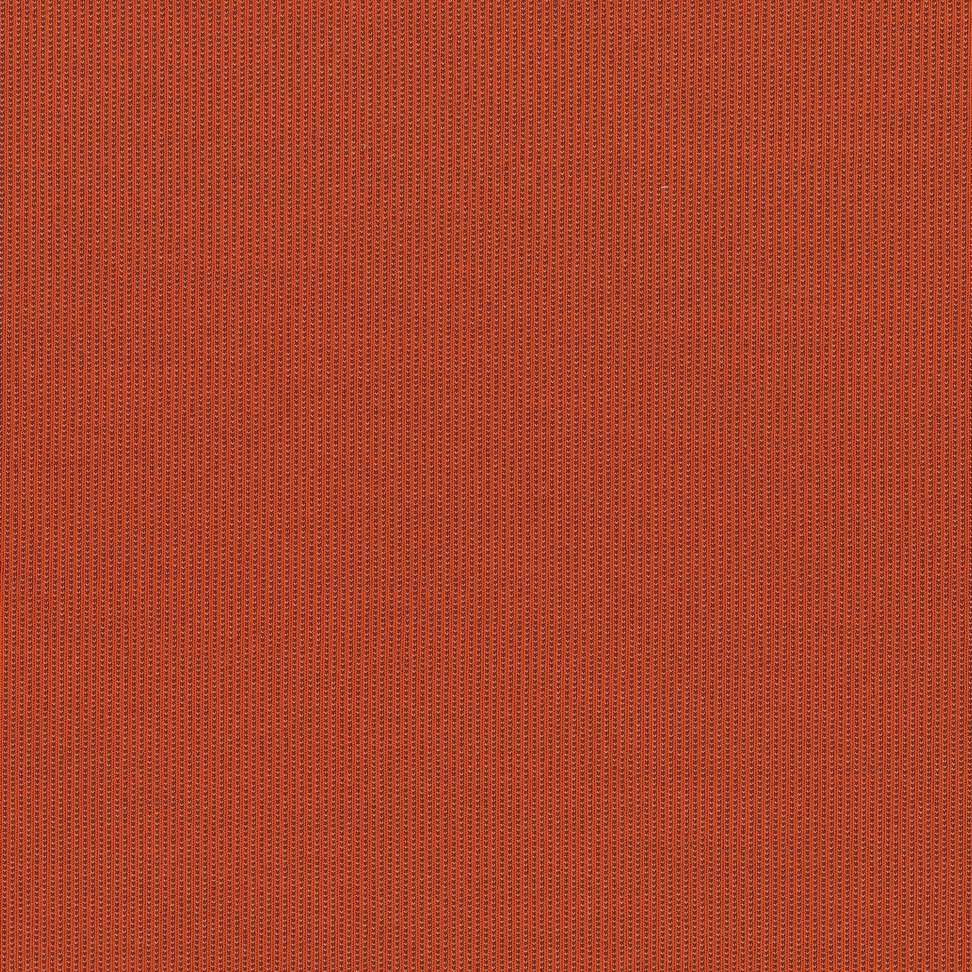Suunta