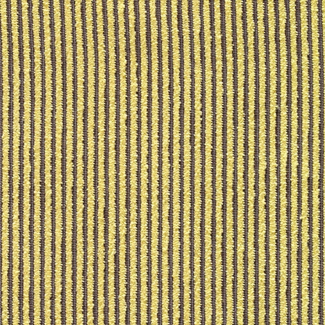 Chenille Stripe 003 Maize