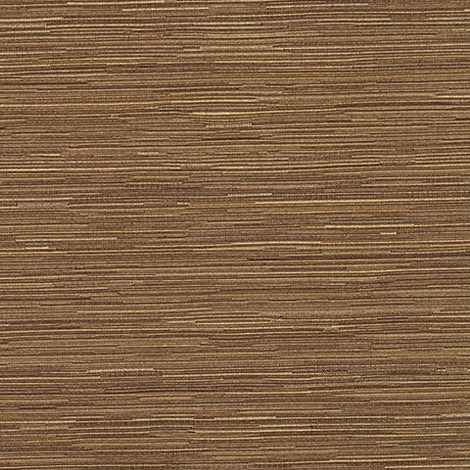Across 002 Camel