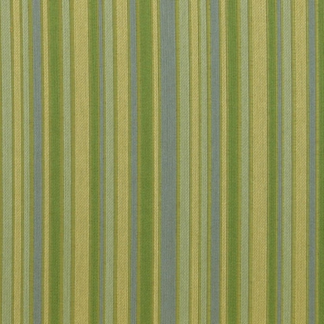 Align 002 Spring