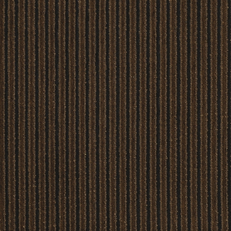 Along 003 Beam