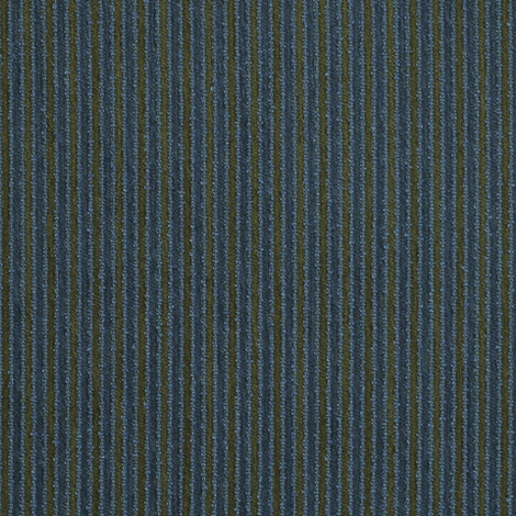 Along 005 Wave