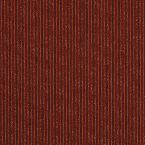 Along 012 Ember