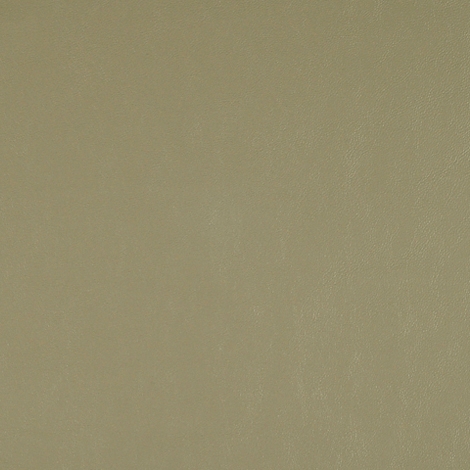 Article 004 Olive