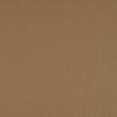 Article 015 Toast