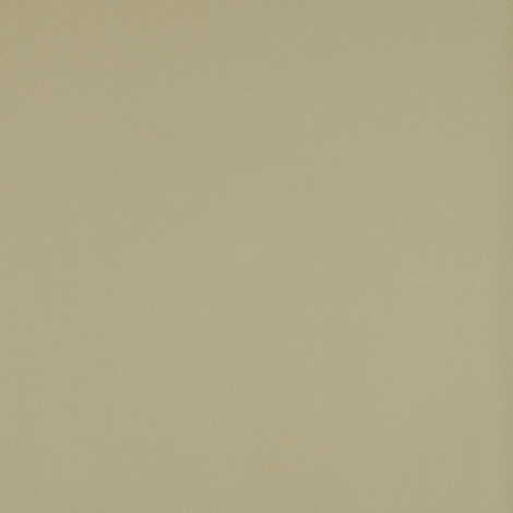 Article 018 Mushroom