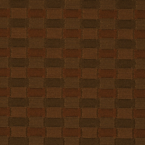 Assemblage 007 Cinnamon
