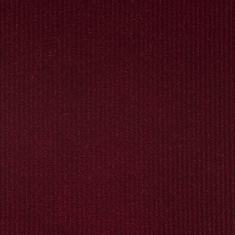 Broad Cord 006 Ducal