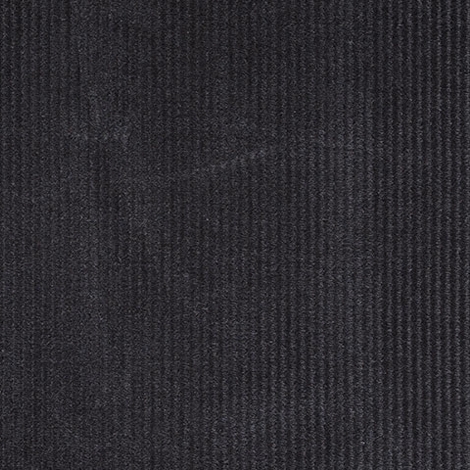 Broad Cord 009 Tempest