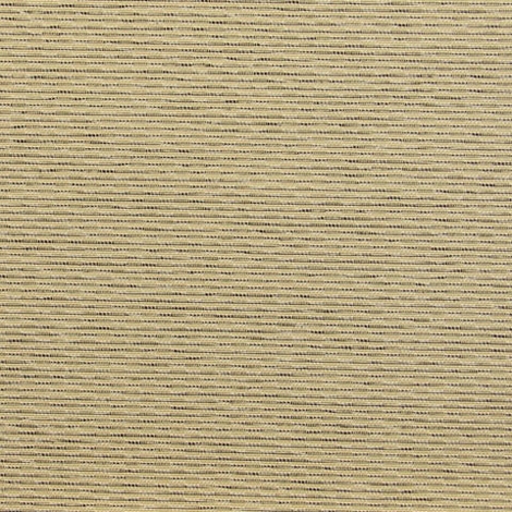Caliber 006 Haystack