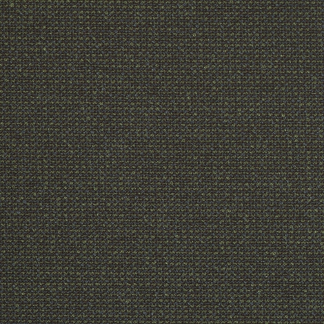 Certain 009 Thicket