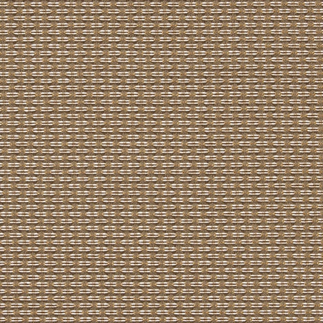Cinch 002 Flax