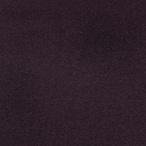 Coach Cloth 008 Dusk