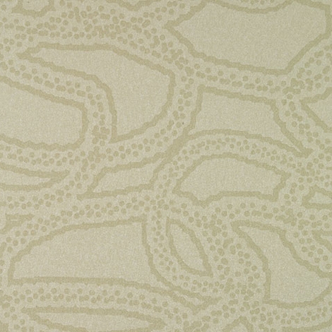 Coil 005 Gloss