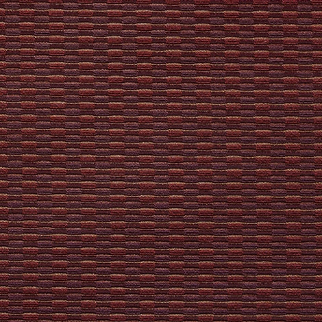 Comment 008 Berry