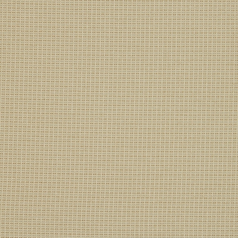Constant 107 Raffia 2