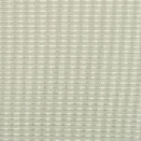 Crisp Backed 003 Mica