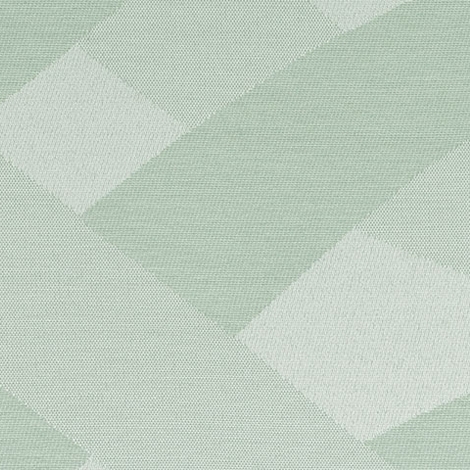 Crisscross 003 Aloe