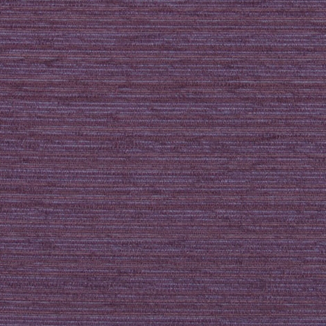 Crush 007 Violet