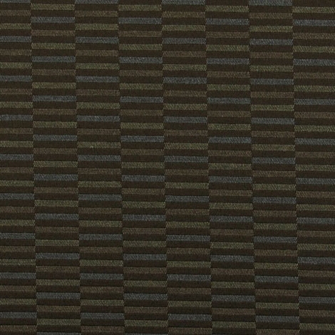 Division 003 Arabica