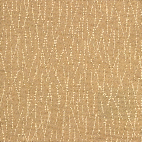 Field 004 Sparkle