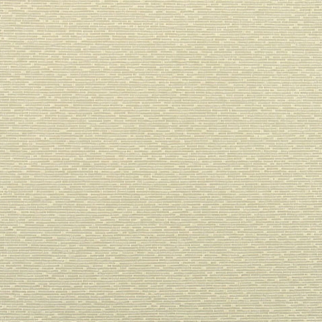 Figure 003 Abalone
