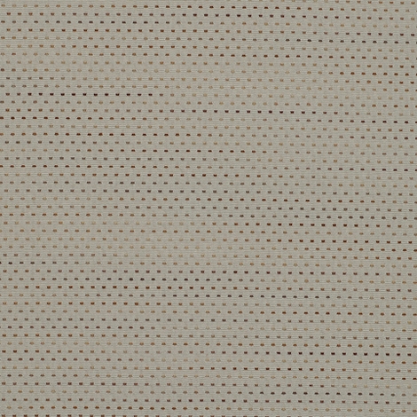 Focus 002 Alloy