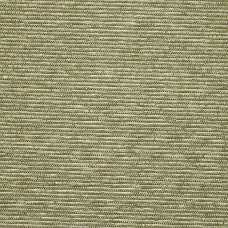 Forward 007 Fern