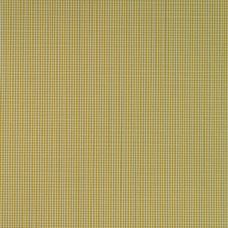 Gingham 003 Caramel