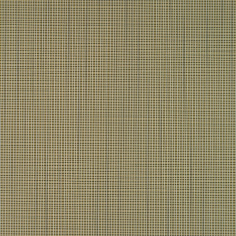 Gingham 004 Safari