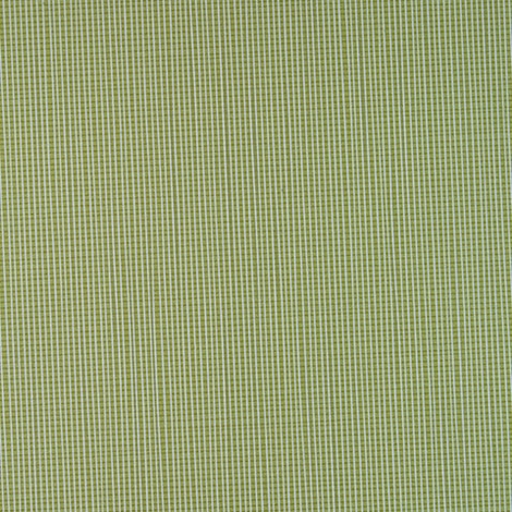 Gingham 007 Reserve