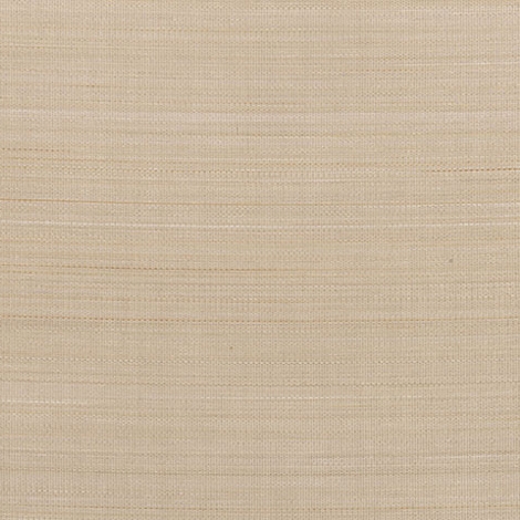 Horsehair Striae 002 Fade
