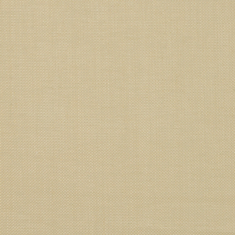 Inox Basic 014 Starch