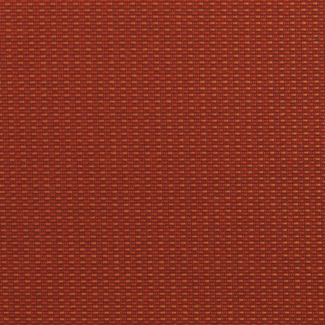 Kernel 003 Pimento