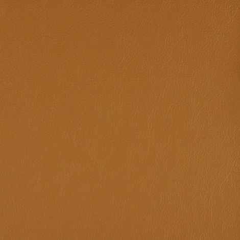 Lariat 001 Camel