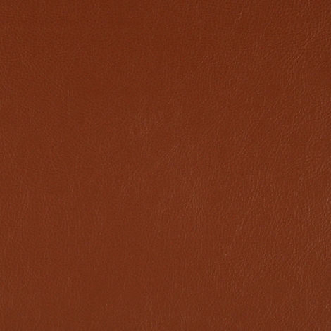 Lariat 002 Russet