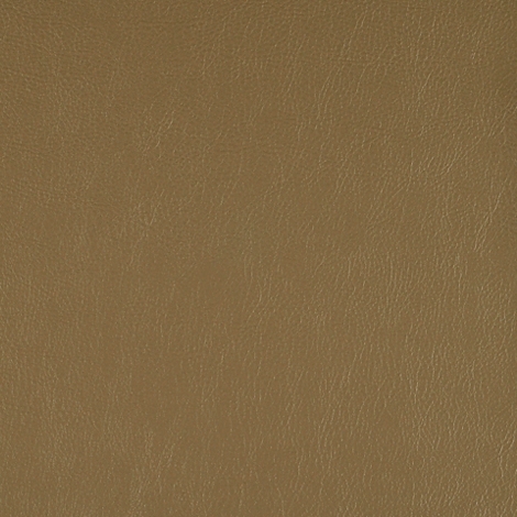 Lariat 008 Fern