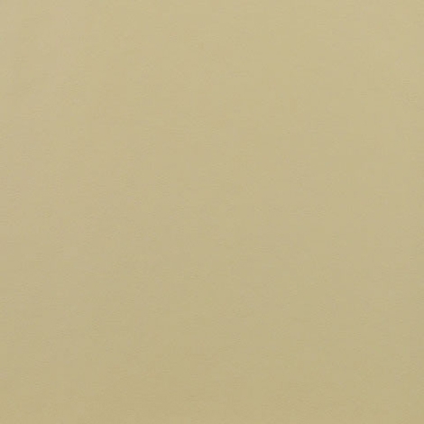 Ledger 003 Putty