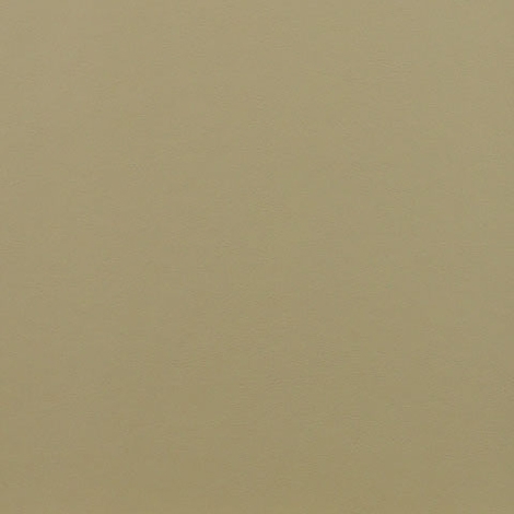 Ledger 004 Mineral