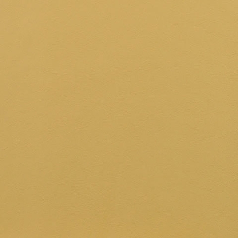 Ledger 005 Butternut