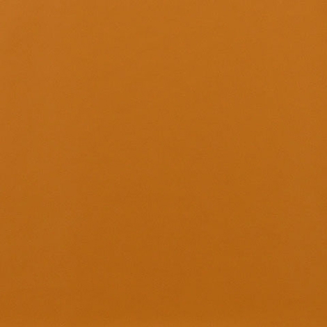 Ledger 006 Tangerine
