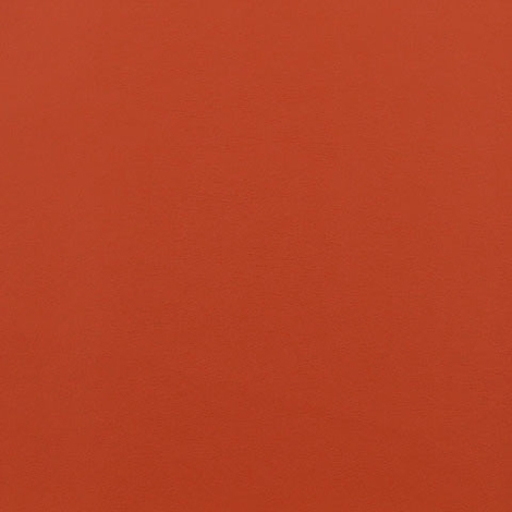 Ledger 007 Persimmon