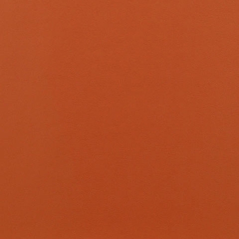 Ledger 008 Sienna