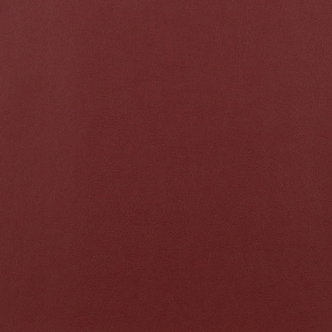 Ledger 009 Garnet